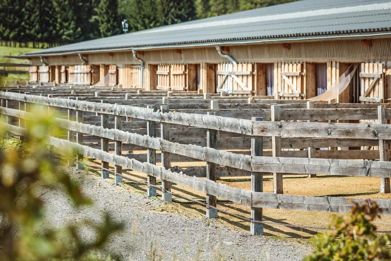 Ranchhouse Smoker- Westernstable - Horse Elterlein المظهر الخارجي الصورة
