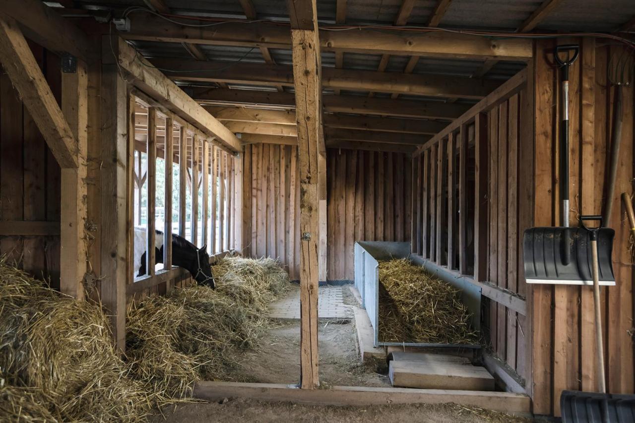 Ranchhouse Smoker- Westernstable - Horse Elterlein المظهر الخارجي الصورة