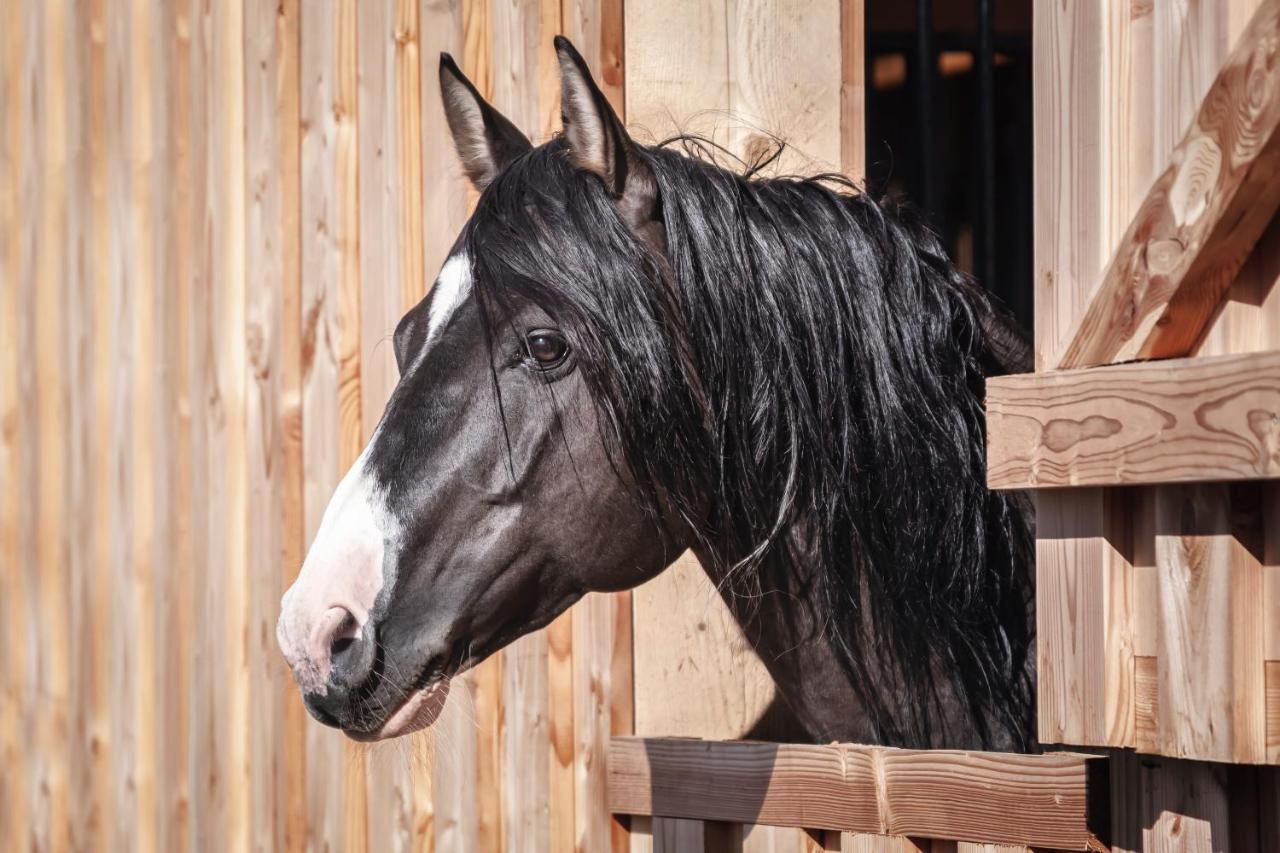 Ranchhouse Smoker- Westernstable - Horse Elterlein المظهر الخارجي الصورة